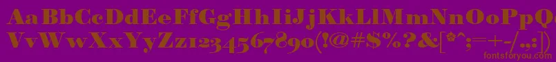 Paragonnordultraboldctt Font – Brown Fonts on Purple Background