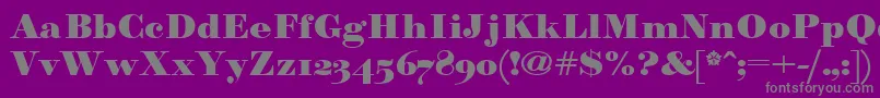 Paragonnordultraboldctt Font – Gray Fonts on Purple Background