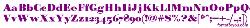 Paragonnordultraboldctt Font – Purple Fonts on White Background