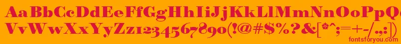 Paragonnordultraboldctt Font – Red Fonts on Orange Background