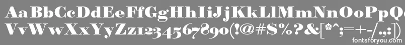 フォントParagonnordultraboldctt – 灰色の背景に白い文字