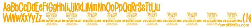 SakersansboldPersonalUse Font – Orange Fonts