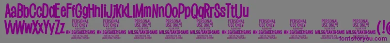 SakersansboldPersonalUse Font – Purple Fonts on Gray Background