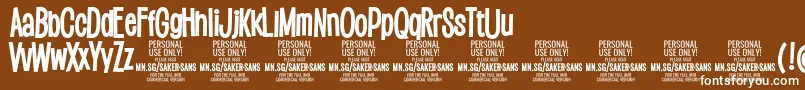 SakersansboldPersonalUse Font – White Fonts on Brown Background