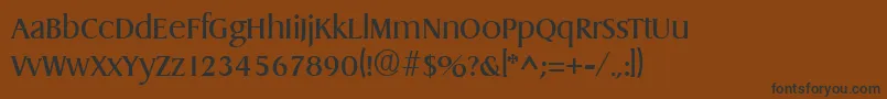 En savoir plus sur la police DragonRegular Police DragonRegular – polices noires sur fond brun