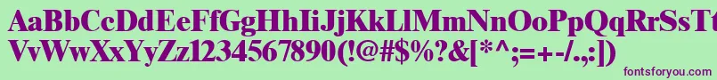 GrecoBlackSsiExtraBold Font – Purple Fonts on Green Background