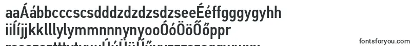 Шрифт PfdintextcondproMedium – венгерские шрифты
