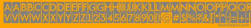 AFuturaortotitulcm Font – Gray Fonts on Orange Background