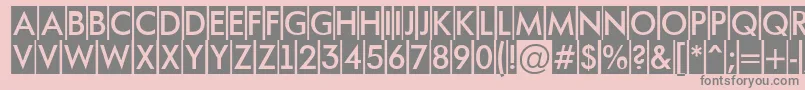 AFuturaortotitulcm Font – Gray Fonts on Pink Background