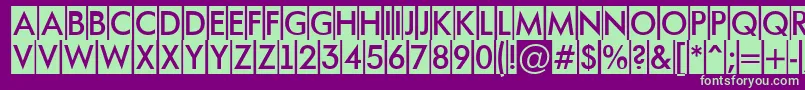 AFuturaortotitulcm Font – Green Fonts on Purple Background