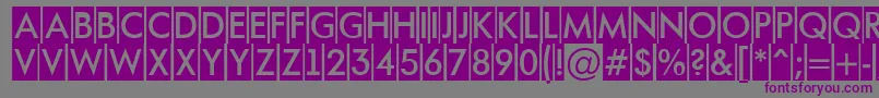 AFuturaortotitulcm Font – Purple Fonts on Gray Background