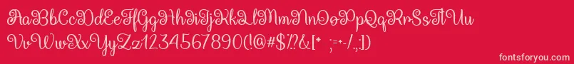 QueenXylophiaTtf Font – Pink Fonts on Red Background