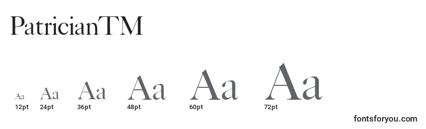PatricianTM Font Sizes