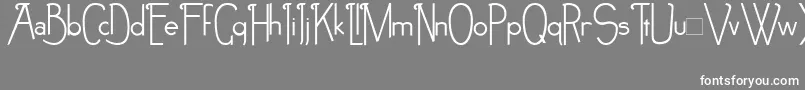 NoirEtBlanc Font – White Fonts on Gray Background