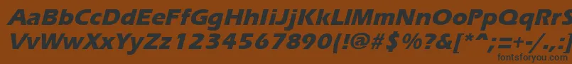 ErgoemildextraboldItalic-fontti – mustat fontit ruskealla taustalla