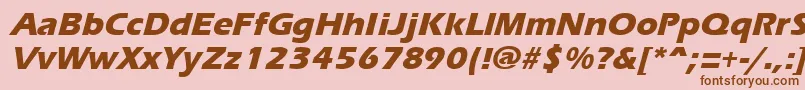 ErgoemildextraboldItalic Font – Brown Fonts on Pink Background