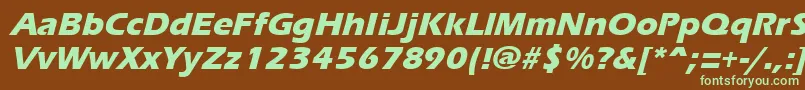 ErgoemildextraboldItalic-fontti – vihreät fontit ruskealla taustalla