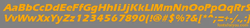 フォントErgoemildextraboldItalic – オレンジの文字は灰色の背景にあります。