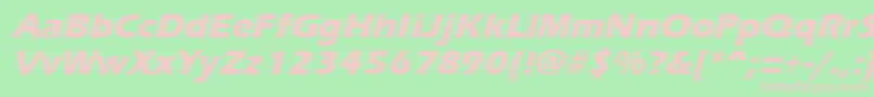 Шрифт ErgoemildextraboldItalic – розовые шрифты на зелёном фоне