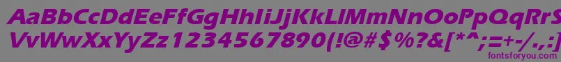 Czcionka ErgoemildextraboldItalic – fioletowe czcionki na szarym tle