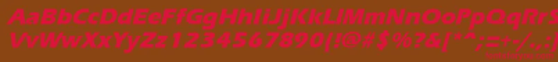 ErgoemildextraboldItalic Font – Red Fonts on Brown Background