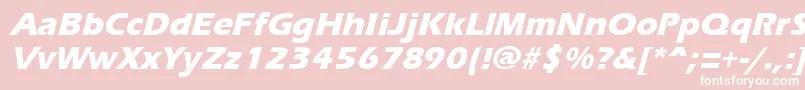 ErgoemildextraboldItalic Font – White Fonts on Pink Background