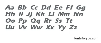 ErgoemildextraboldItalic Font