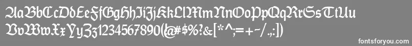 CatfrankenDeutsch Font – White Fonts on Gray Background