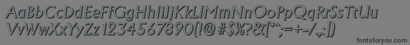 AdelonshadowLightItalic Font – Black Fonts on Gray Background