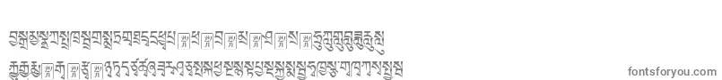 フォントTibetanmachineweb1 – 白い背景に灰色の文字