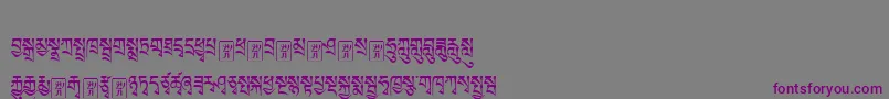 Tibetanmachineweb1 Font – Purple Fonts on Gray Background