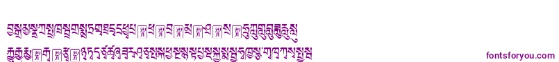 Tibetanmachineweb1 Font – Purple Fonts on White Background