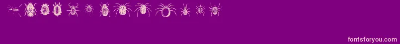 Bugbats Font – Pink Fonts on Purple Background