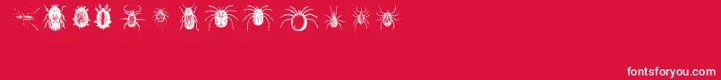 Bugbats Font – White Fonts on Red Background