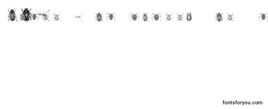 Обзор шрифта Bugbats