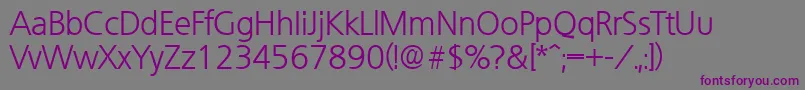 Шрифт QuebecLight – фиолетовые шрифты на сером фоне