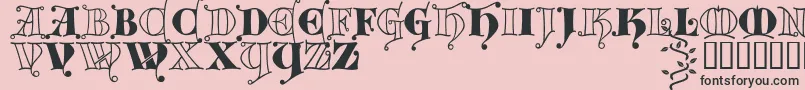 Kingthings Versalis Font – Black Fonts on Pink Background