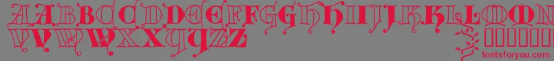 Kingthings Versalis-Schriftart – Rote Schriften auf grauem Hintergrund