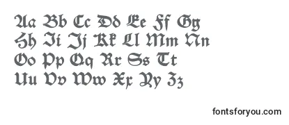 Alteschwabacherosfdemi Font