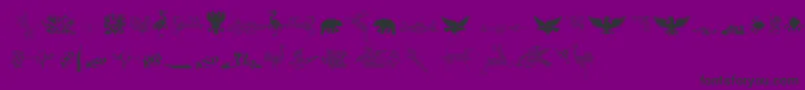 CornucopiaOfDingbatsThree Font – Black Fonts on Purple Background