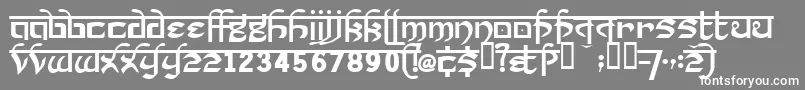 Prakrta ffy Font – White Fonts on Gray Background