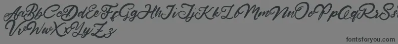 HardestStyleDemo Font – Black Fonts on Gray Background