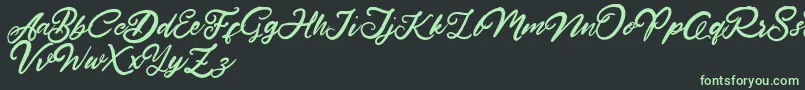 HardestStyleDemo Font – Green Fonts on Black Background