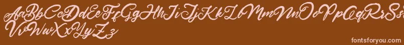 HardestStyleDemo Font – Pink Fonts on Brown Background