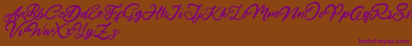 HardestStyleDemo Font – Purple Fonts on Brown Background