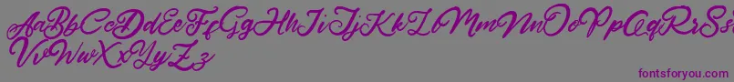 Шрифт HardestStyleDemo – фиолетовые шрифты на сером фоне