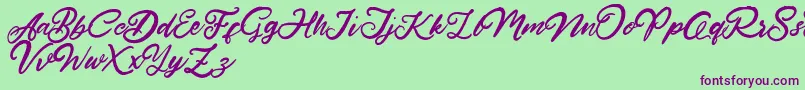 HardestStyleDemo-Schriftart – Violette Schriften auf grünem Hintergrund
