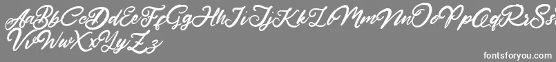 HardestStyleDemo Font – White Fonts on Gray Background