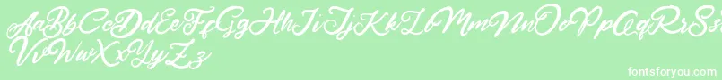 HardestStyleDemo Font – White Fonts on Green Background