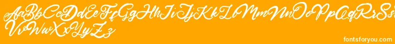 HardestStyleDemo Font – White Fonts on Orange Background
